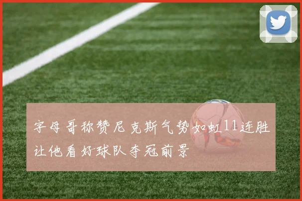 字母哥称赞尼克斯气势如虹11连胜让他看好球队夺冠前景