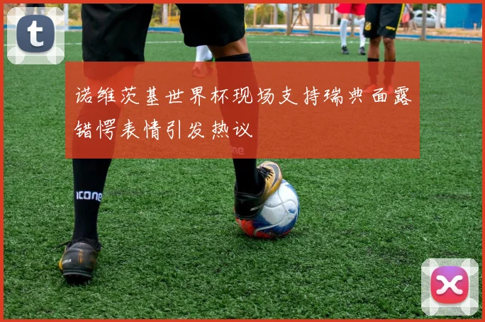 诺维茨基世界杯现场支持瑞典面露错愕表情引发热议